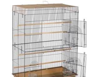 tall medium cage for cockatiel review