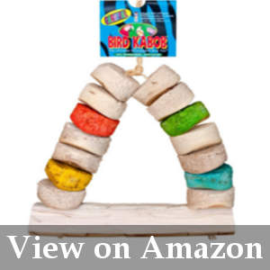 best chewing toy reviews