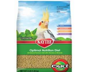 best food for birds