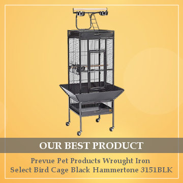 best cage for a budgie reviews