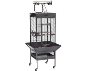 best cage for budgies guide