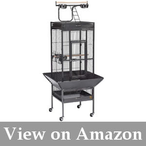 best cage for budgies guide