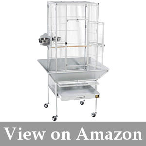cage for 2 budgies reviews