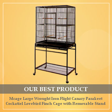 best cage for cockatiel reviews