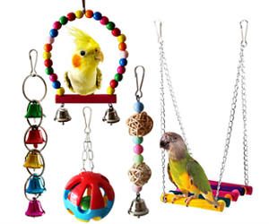 Discover the Best Toys for Cockatiels that Will Make Your Bird Happy