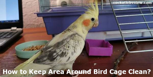how to keep area around bird cage clean