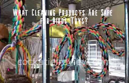 how to clean bird toys